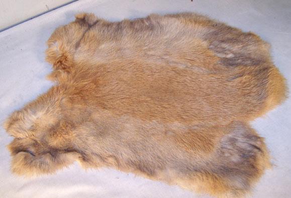 2 RABBIT SKIN NATURAL BROWN fur pelt bunny soft crafts supply rabbits skins furs