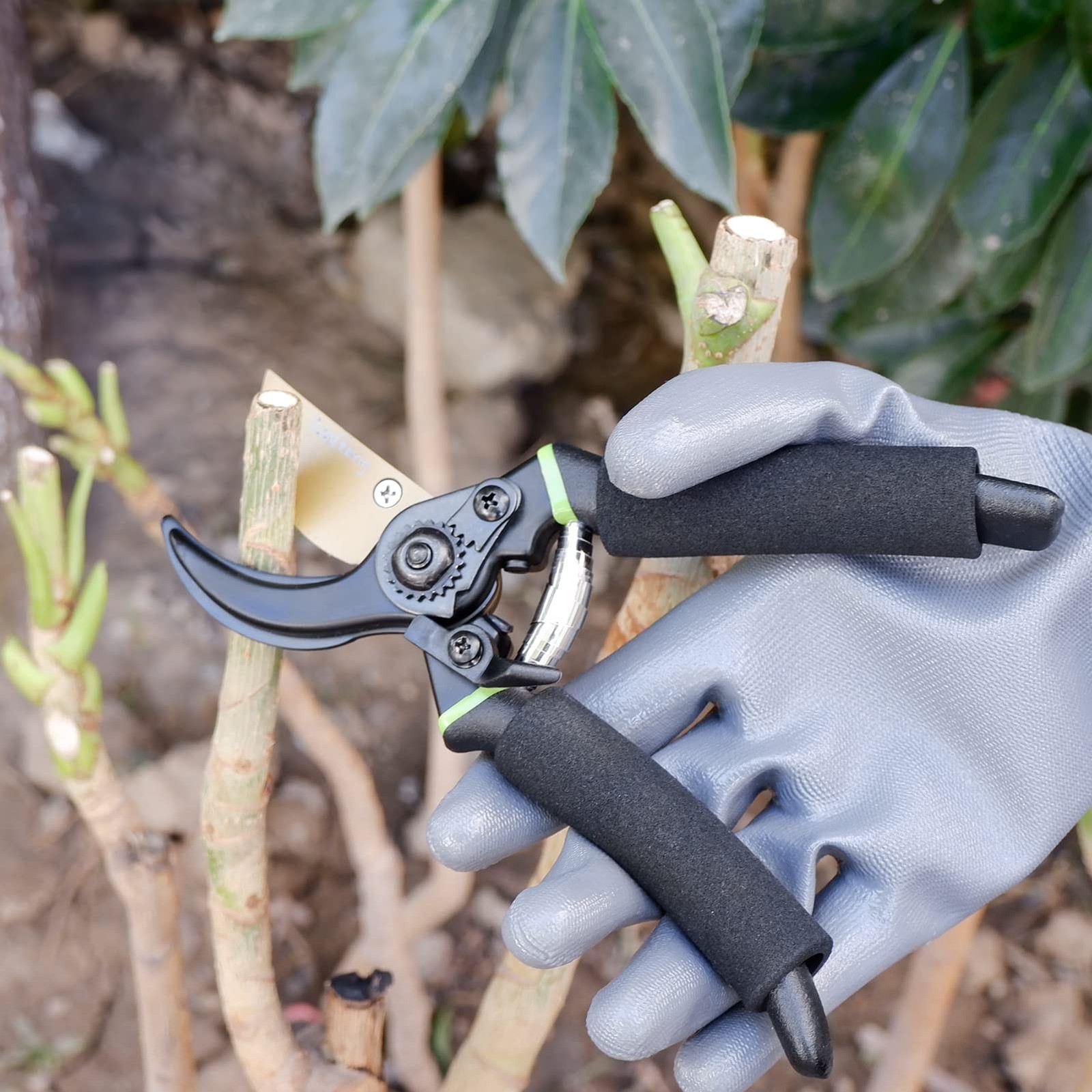 Premium Bypass Pruning Shears, Heavy Duty Ultra Sharp Hand Pruners, Professio...