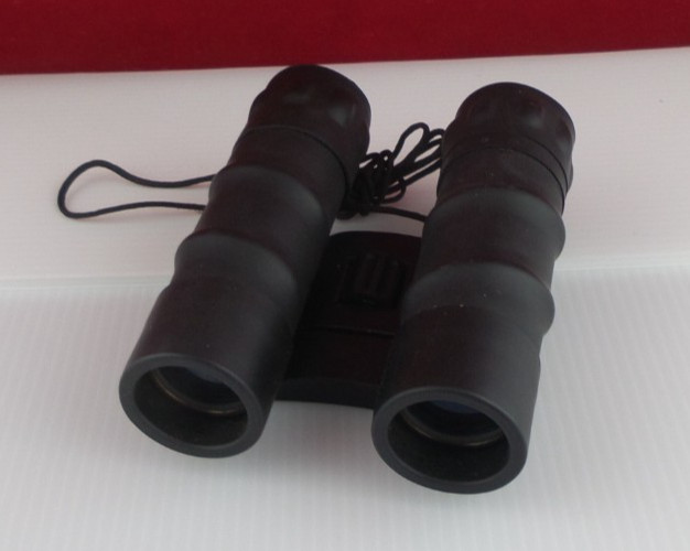 Tasco 10x25 Compact Binoculars, Fully Coated Optics