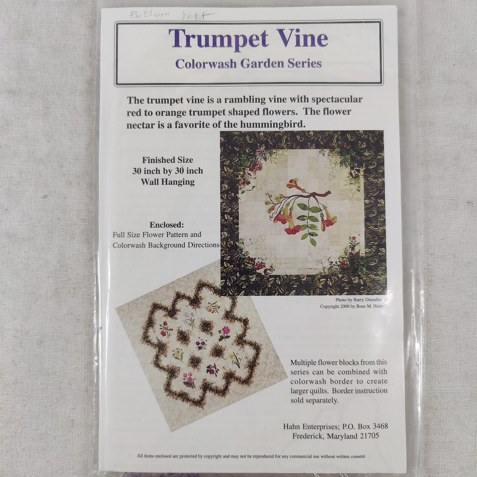 Trumpet Vine Natures Boquet Floral Quilt Pattern 30" x 30" Colorwash Garden