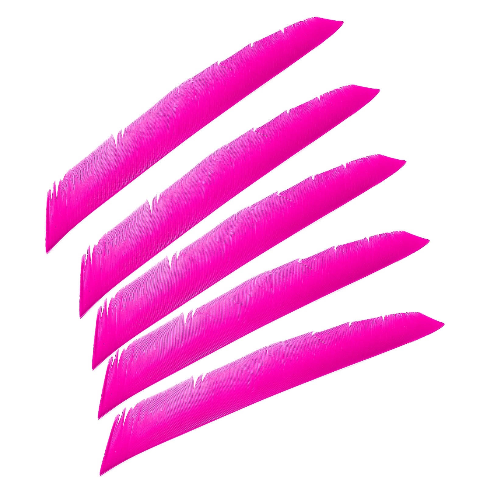 50pcs Arrows Vanes 11 Inch Turkey Feather Arrow Fletching Right Wing, Pink