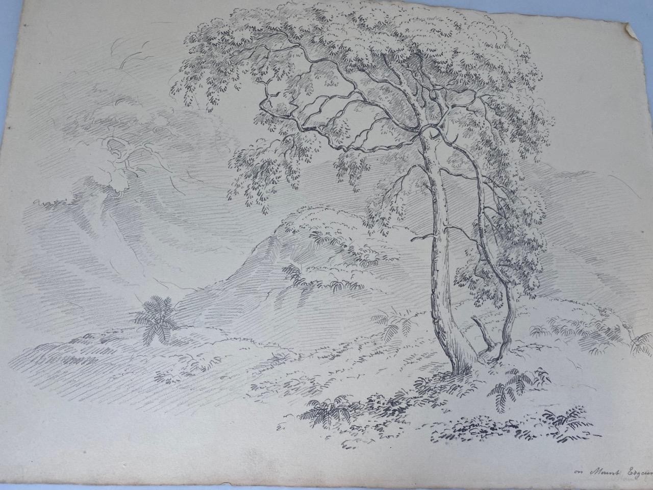 19th Century PENCIL DRAWING MOUNT EDGCUMBE CORNWALL  FOLDER SIR EDGAR MacCULLOCH