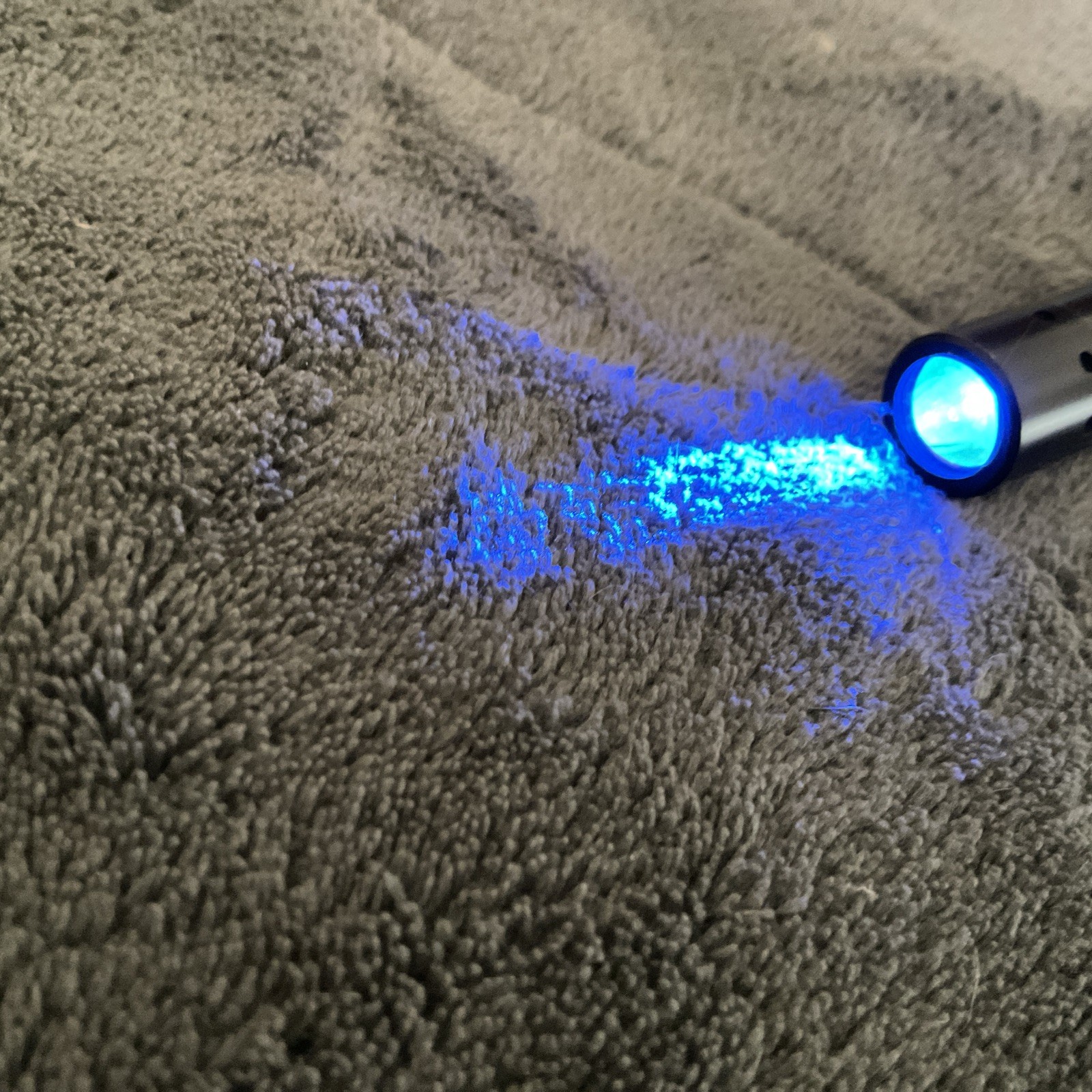 Coast Blue Beam Penlight — RARE