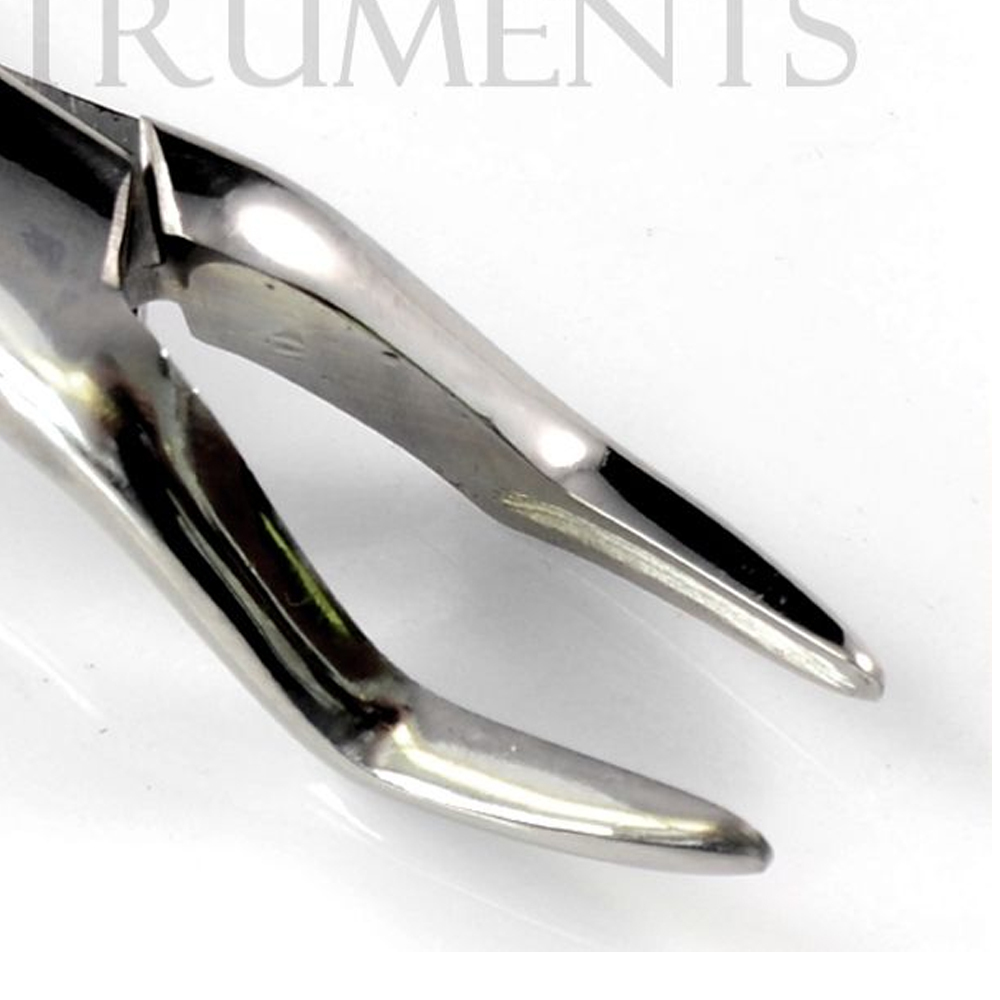 Extracting Forceps Dental Surgical Instruments 65 Stainless German Grade
