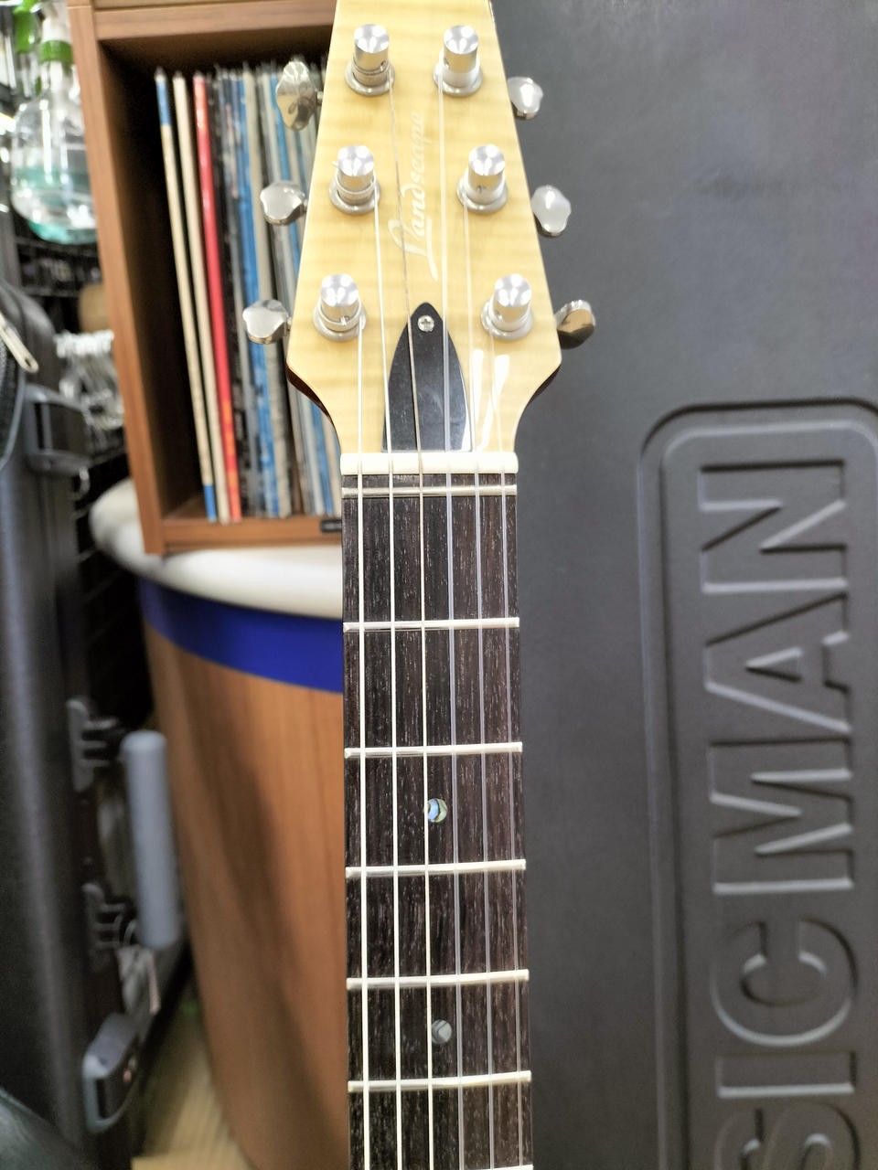 LANDSCAPE SE-01N Electric Guitar