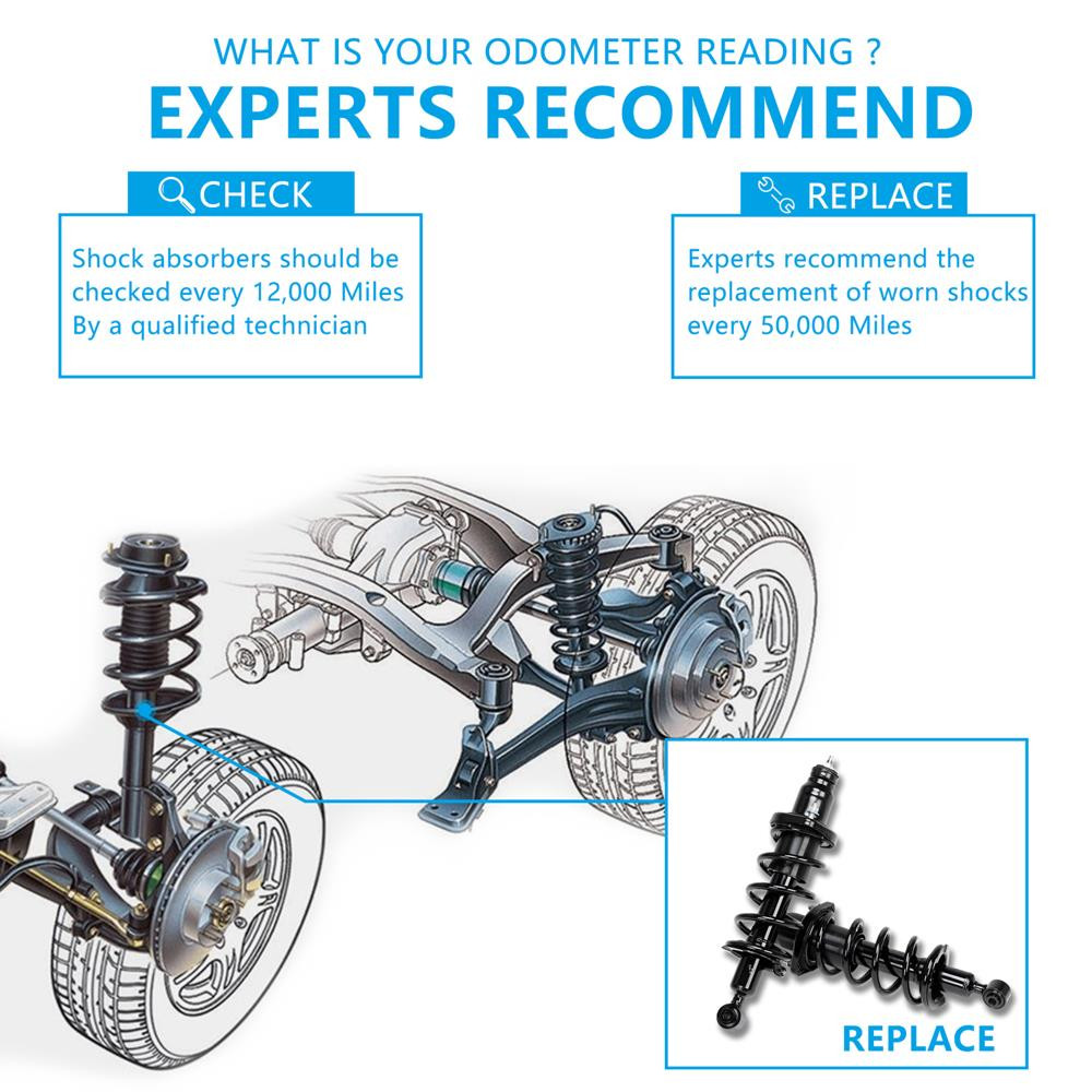 Rear Pair Quick Complete Strut w/Spring For 2001 2002 2003 2004 2005 Honda Civ