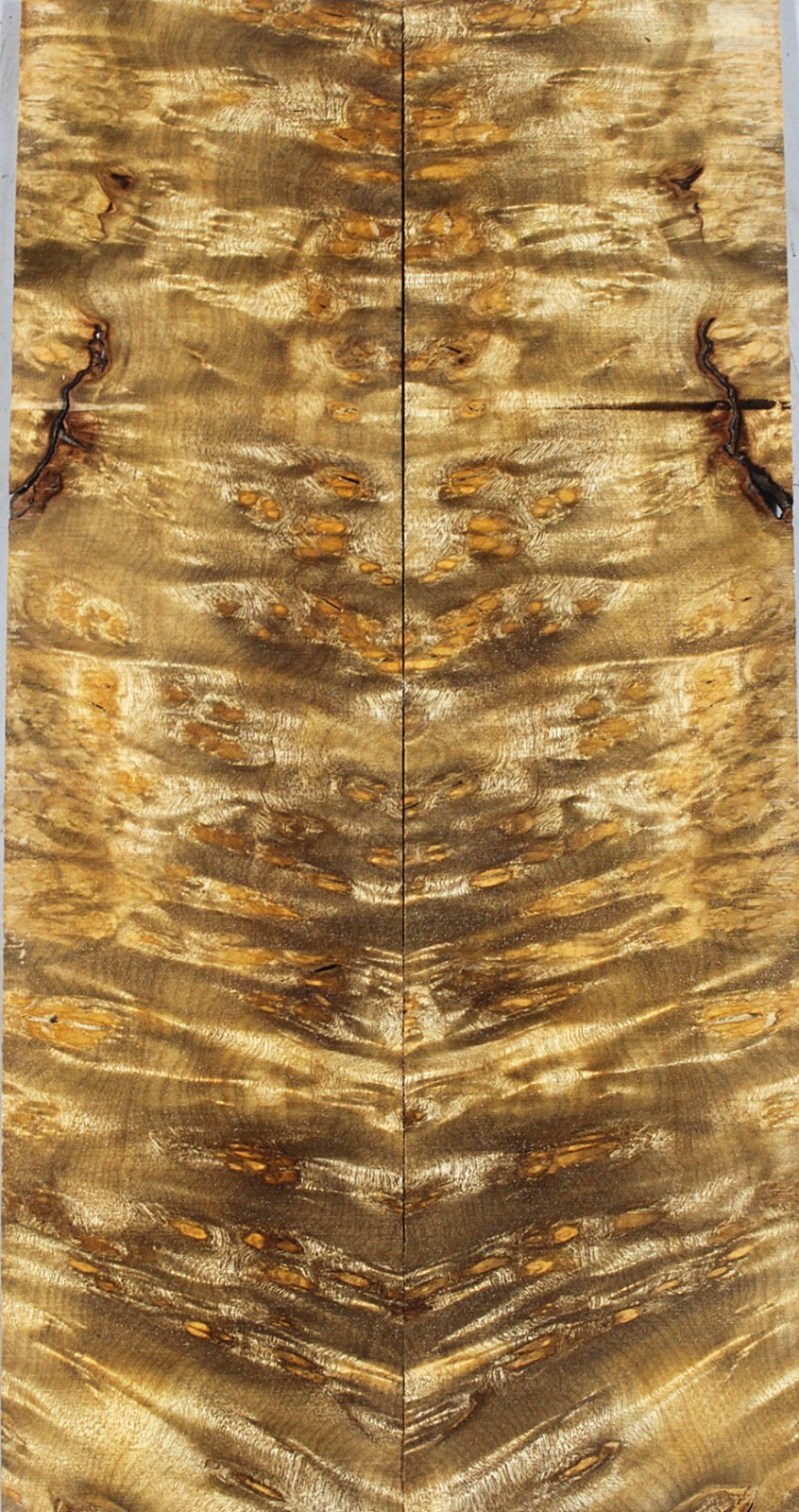 ZS044 Bookmatch inlay Wood Birdseye Golden Camphor Box Making Marquetry Veneer