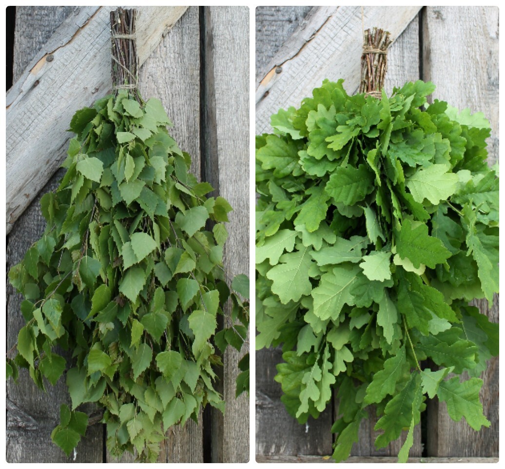 SEASON 2025! SET of 5 BIRCH + 5 OAK SAUNA WHISK FREE SHIPPING venik broom