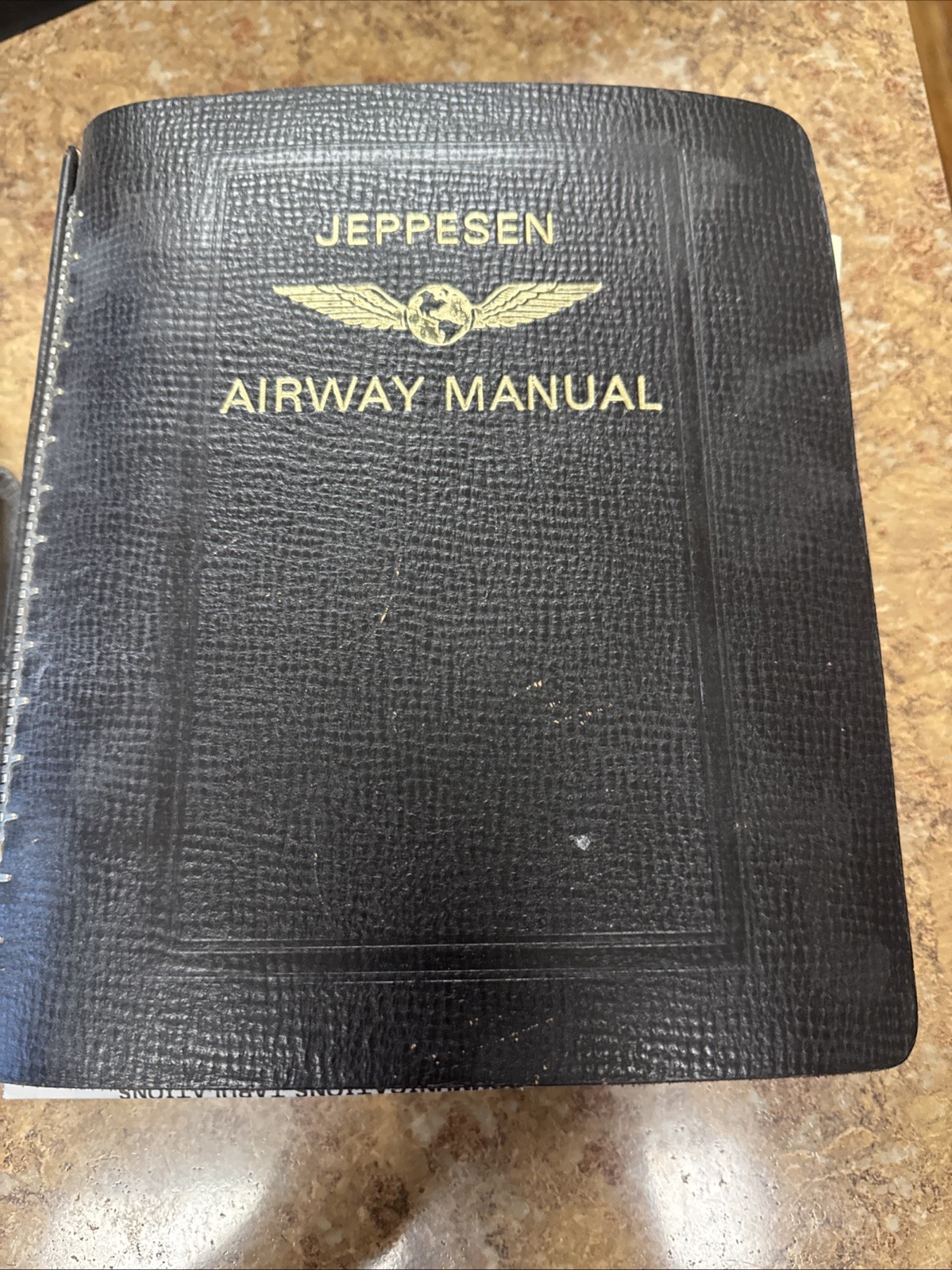 Jeppesen Flight Manual