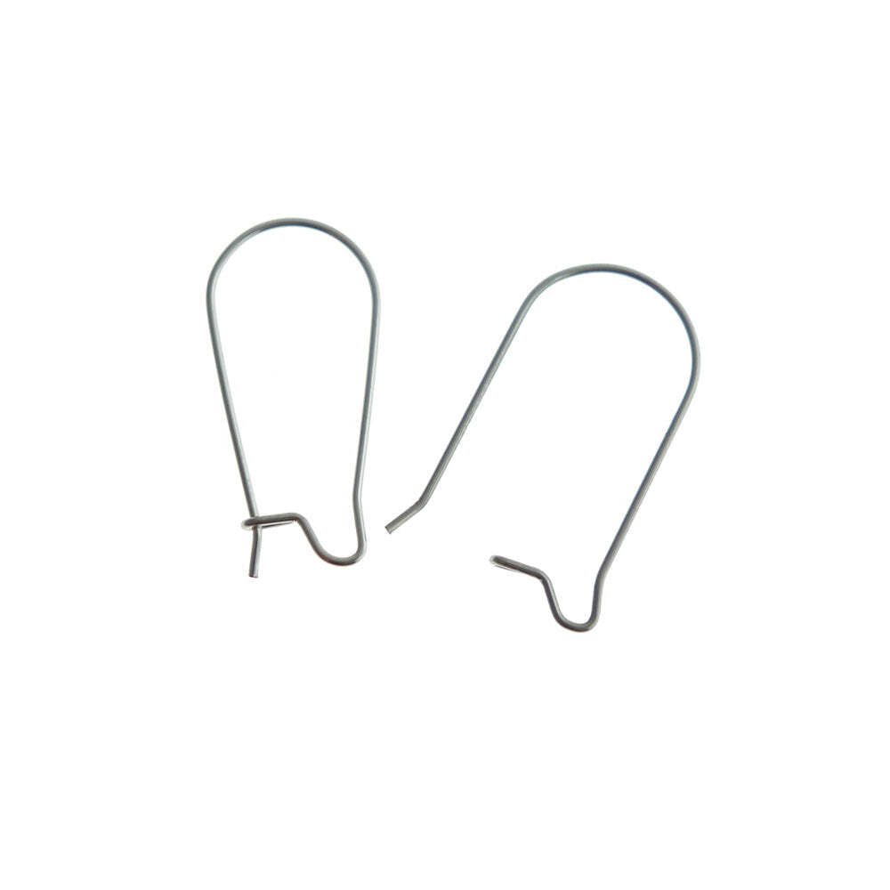 Stainless Steel Earrings - Kidney Style Hooks - 25mm x 12mm - 20 Pieces 10 Pairs