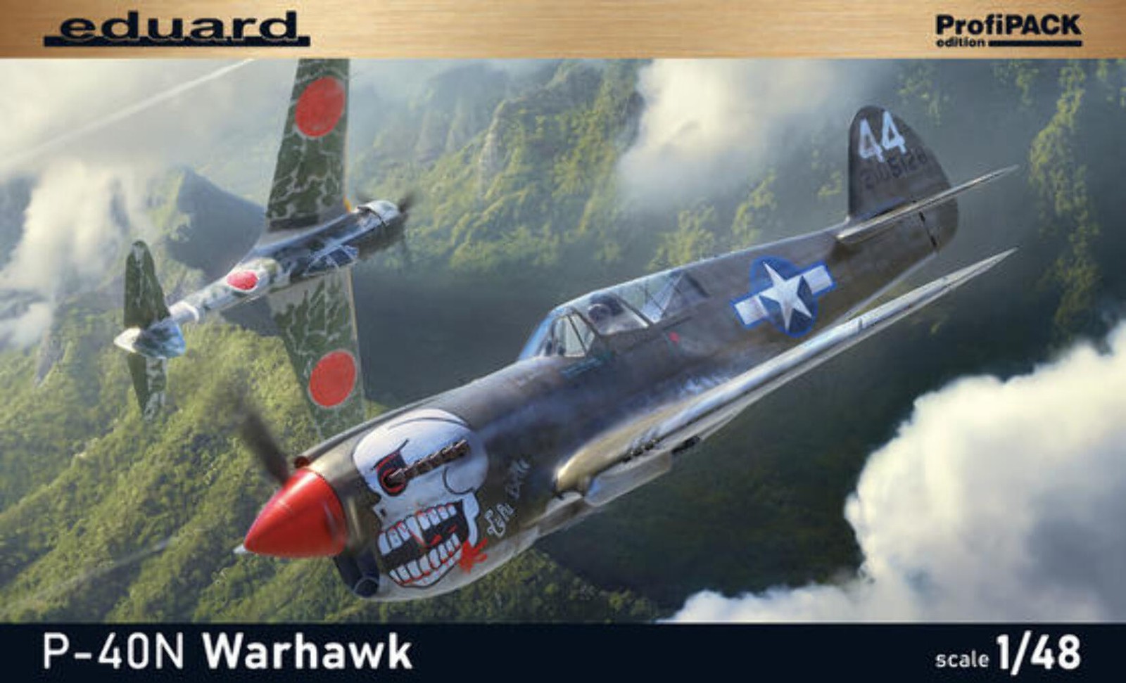 Eduard 82242 1/48 P-40N Warhawk ProfiPack edition