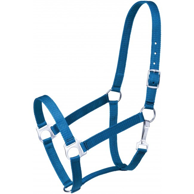 Tough 1 Turquoise Nylon Economy Horse Sized Halter horse tack equine 50-1701