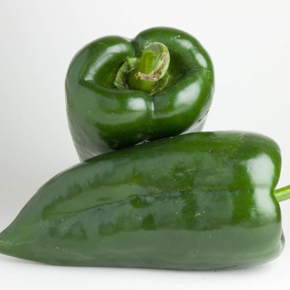 Poblano Pepper Seeds | Heirloom / Non-GMO | Free Shipping | Open Pollinated 1011