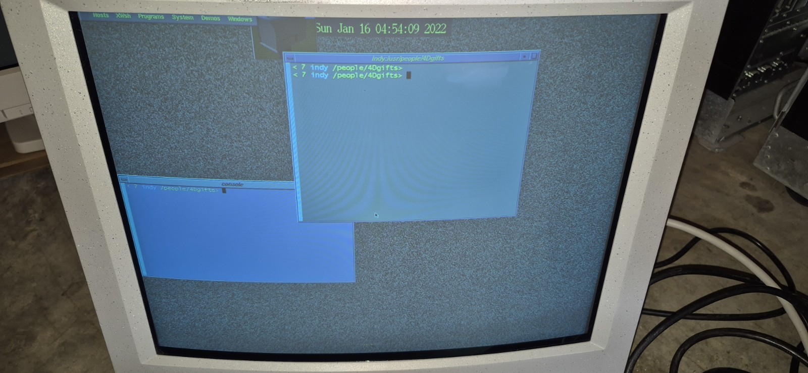 SGI SILICON GRAPHICS MONITOR GDM-20E21 ,WORKS,SHIPPING TO USA ONLY !!!