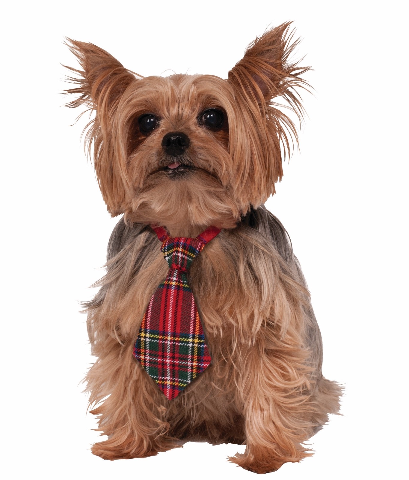 Funny CHRISTMAS DOG NECKTIE Mini Plaid Clown Tie Costume Joke Gag Gift Small