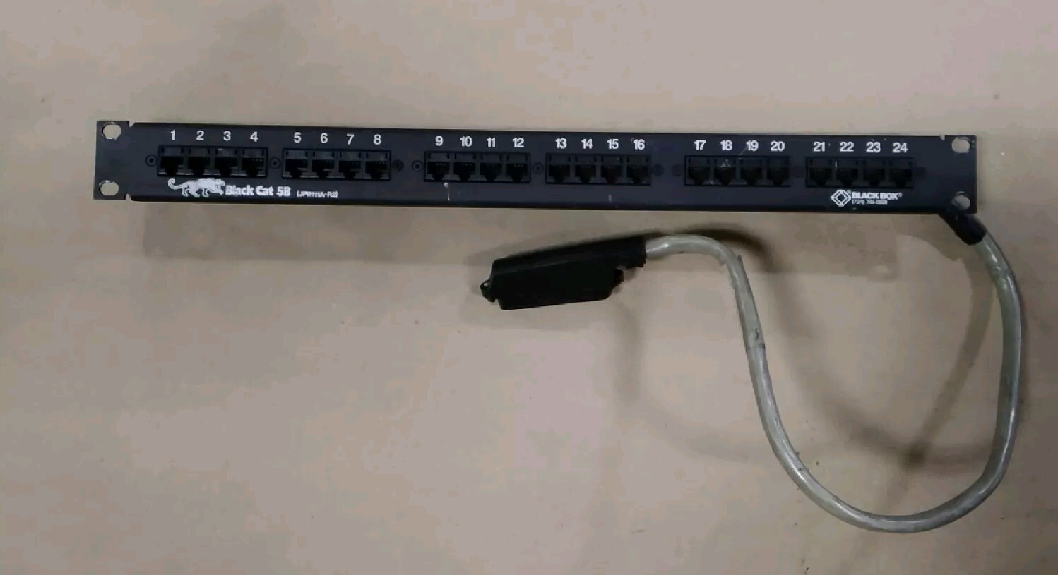 Black Box JPM111A-R2 24 port Cat 5 Patch Panel, 19" A42