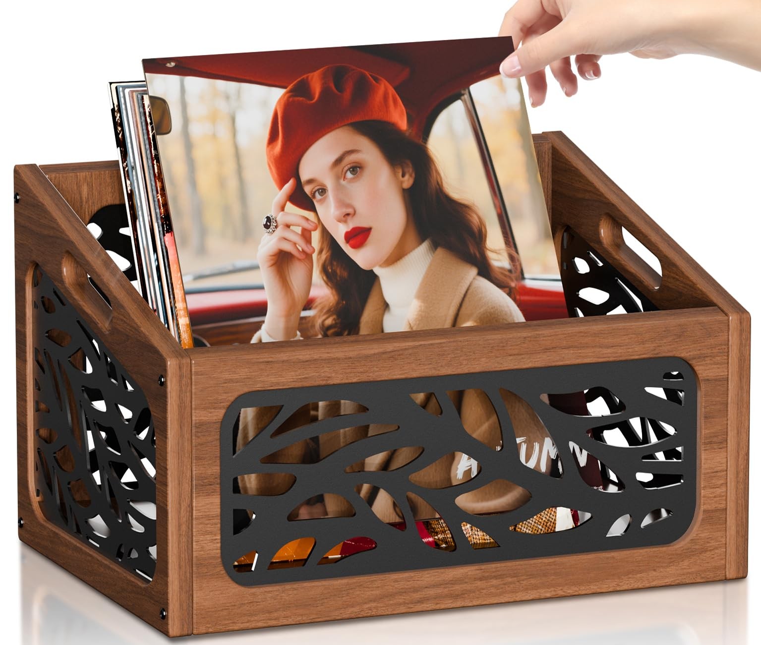 QILICHZ Vinyl Record Storage,70+ Lps Holder,Wood Brown+Black