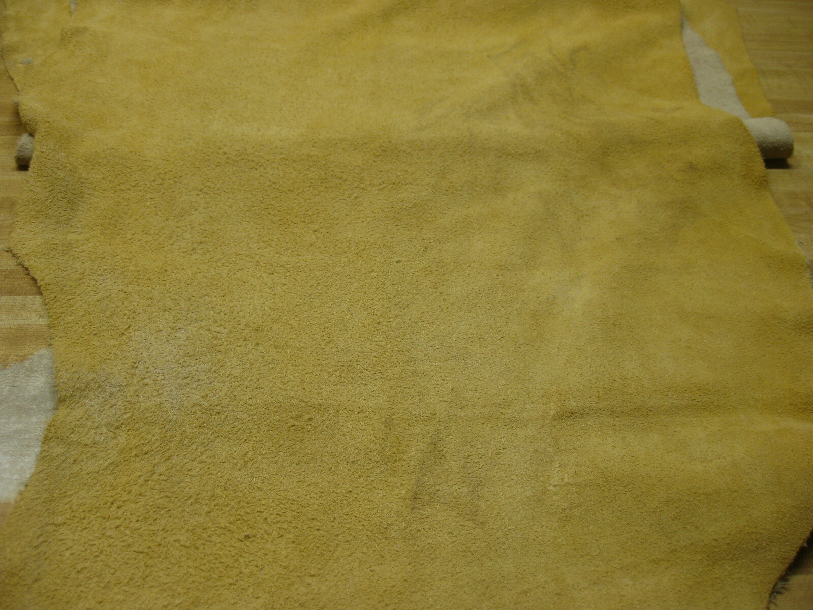 Suede Buffalo Leather Gold #0007961 R 35