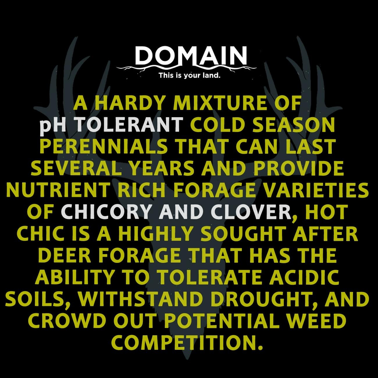 Deer Plot Seeds Bulk Hot Chic Chicory 2 Varieties Sprouting kit