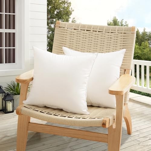 20x20 Outdoor Pillow Inserts (Pack of 2) - Square 20 x 20 (Pack of 2)