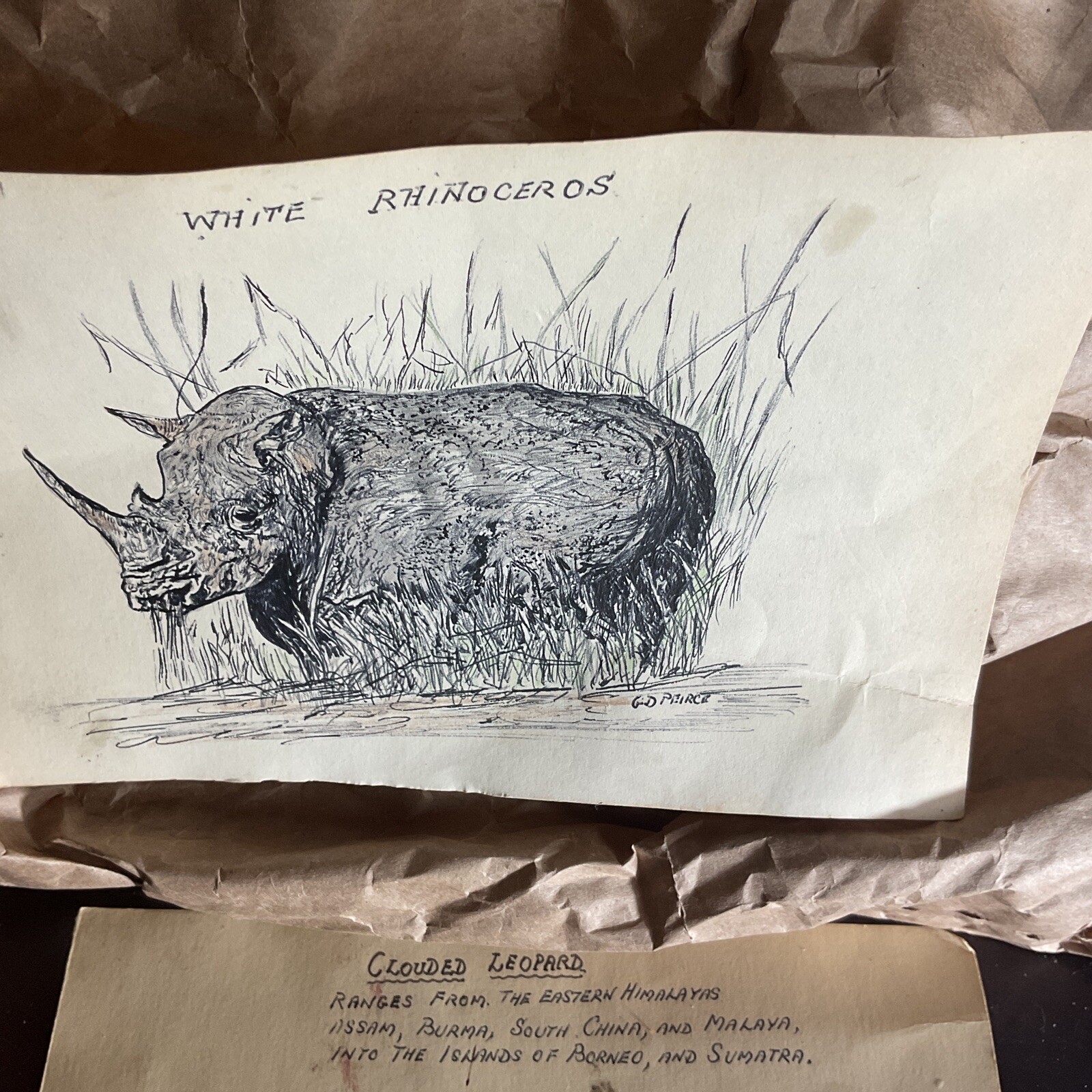 Antique White Rhino Pen Small Picture And Leopard ,7 X 5 Inches,used Condition.