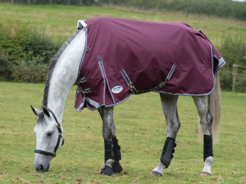 Weatherbeeta Comfitec Plus Dynamic II Standard Neck Turnout Lite CLOSEOUT
