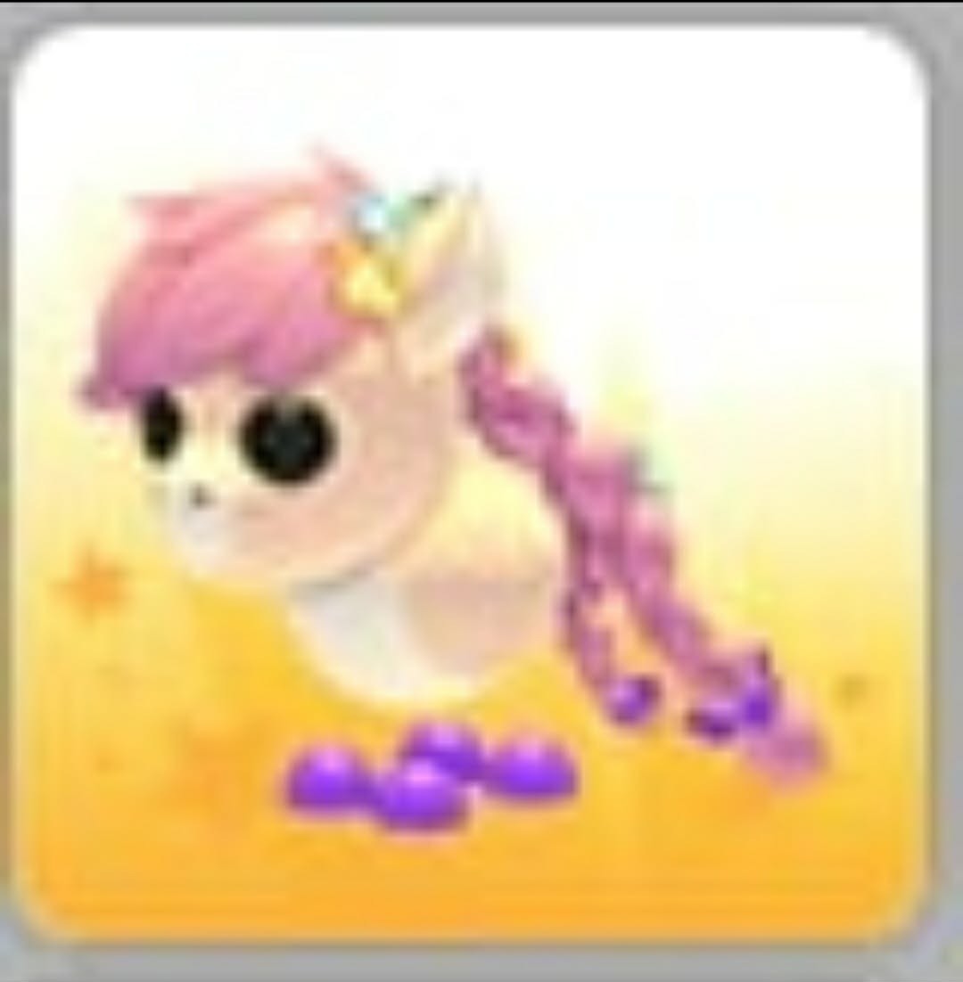 Majestic Pony | NFR | MFR | Adopt Now