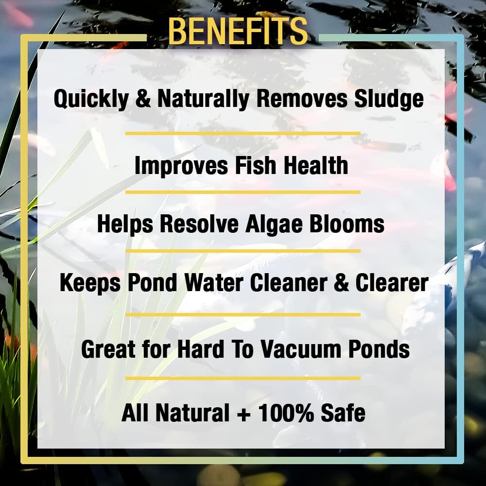 32 Ounce Sludge Away Pond Water Treatment for Clean Clear Water Features
