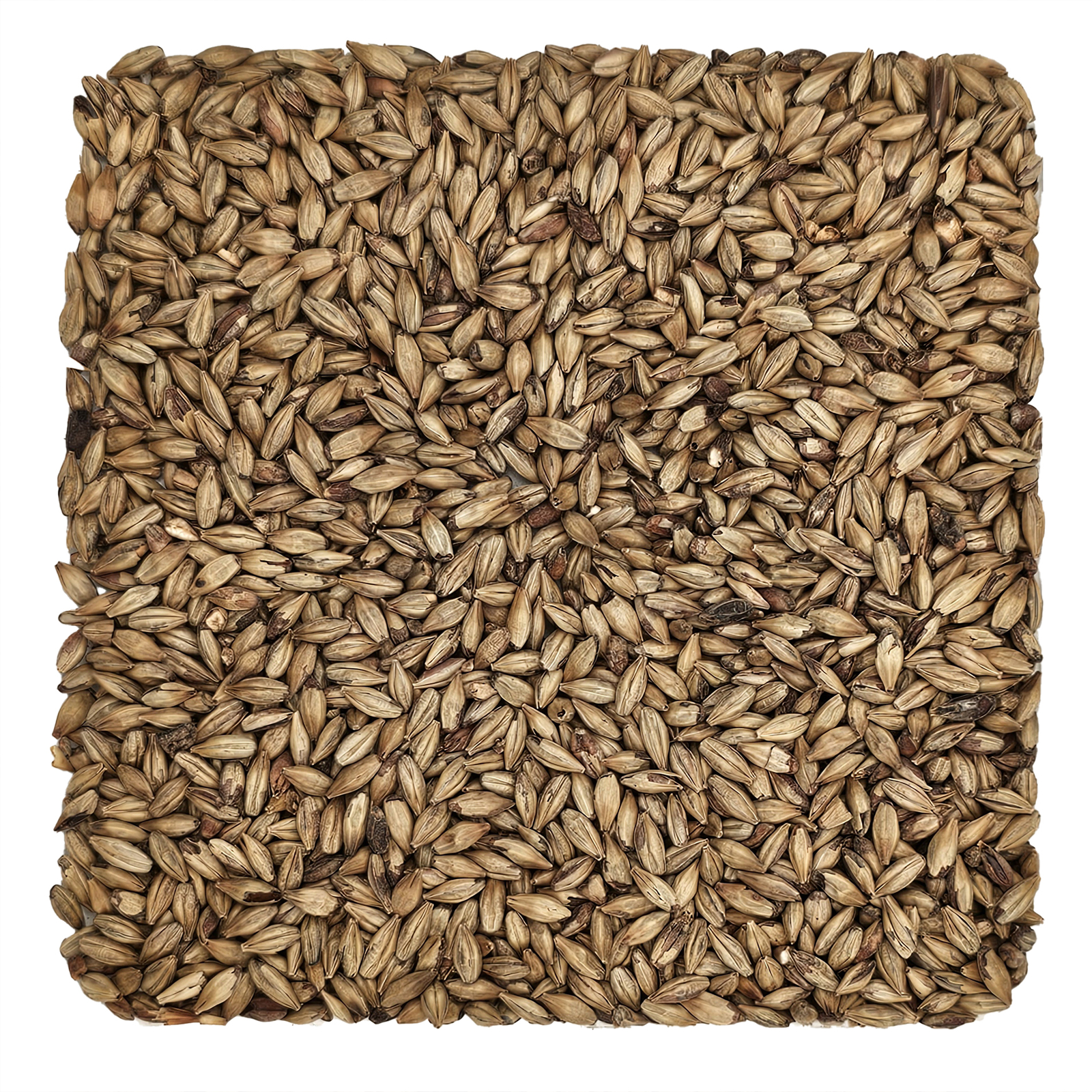 Home Brew Ohio Biscuit Grain 5lb