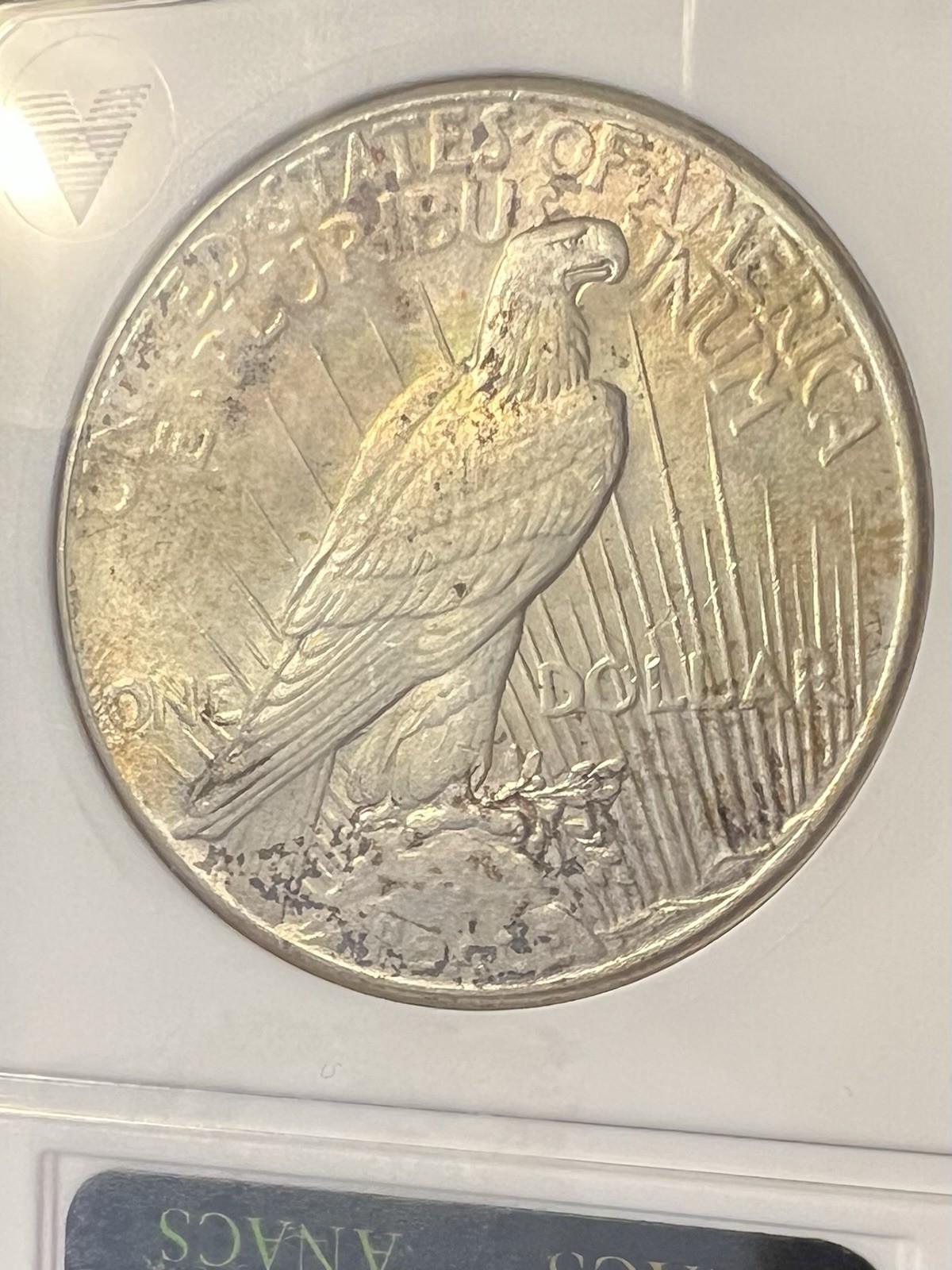 1925-P Peace Silver Dollar -- ANACS MS64 -- old Soapbox Holder!