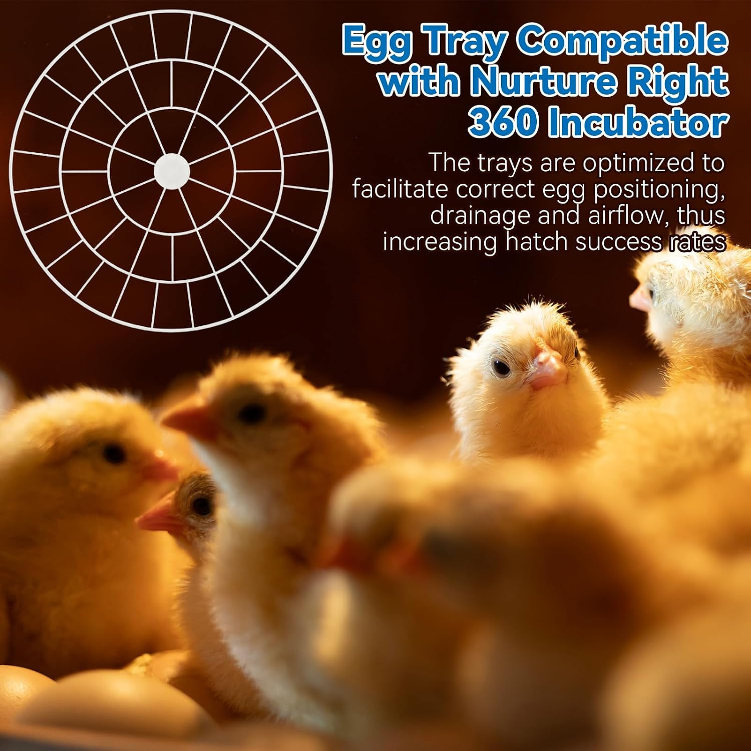 48 Egg Tray Compatible with Nurture Right 360 Incubator, Plastic Egg