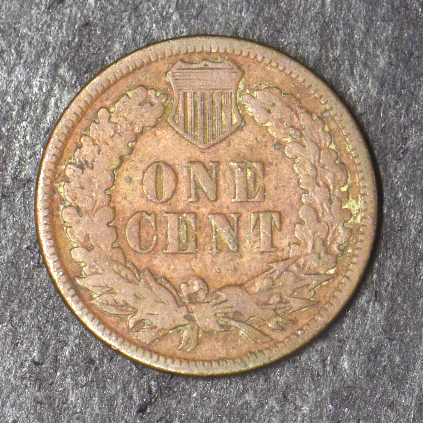 1884 Indian Head Cent - COINGIANTS -