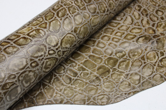 Brown Ivory EMBOSSED TORTOISE LEATHER : Genuine Leather 2.5-3 oz.