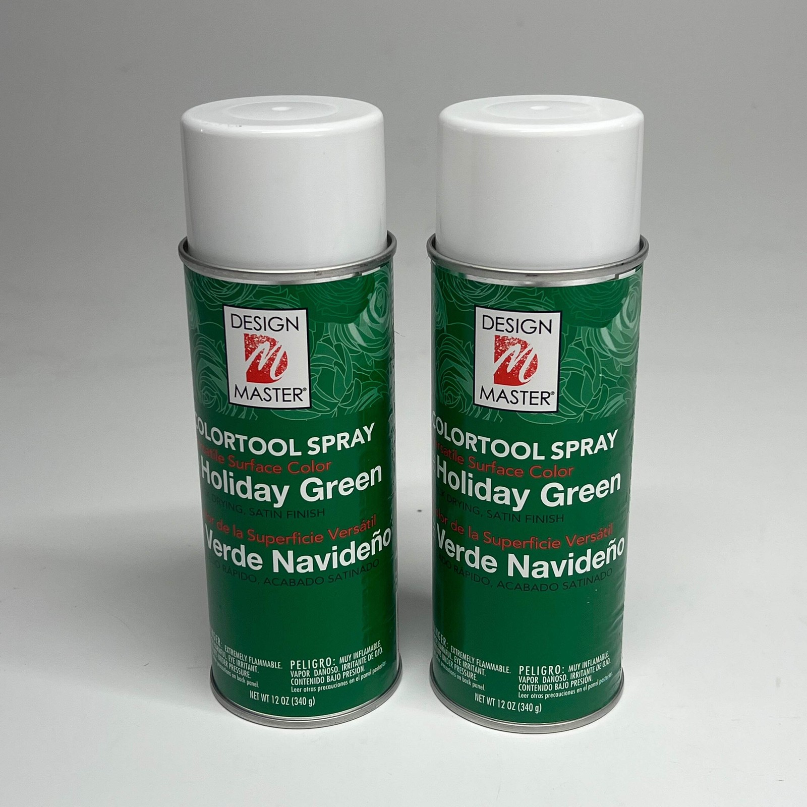 DESIGN MASTER (2 PACK) Colortool Spray Surface Color 12oz Holiday Green 717