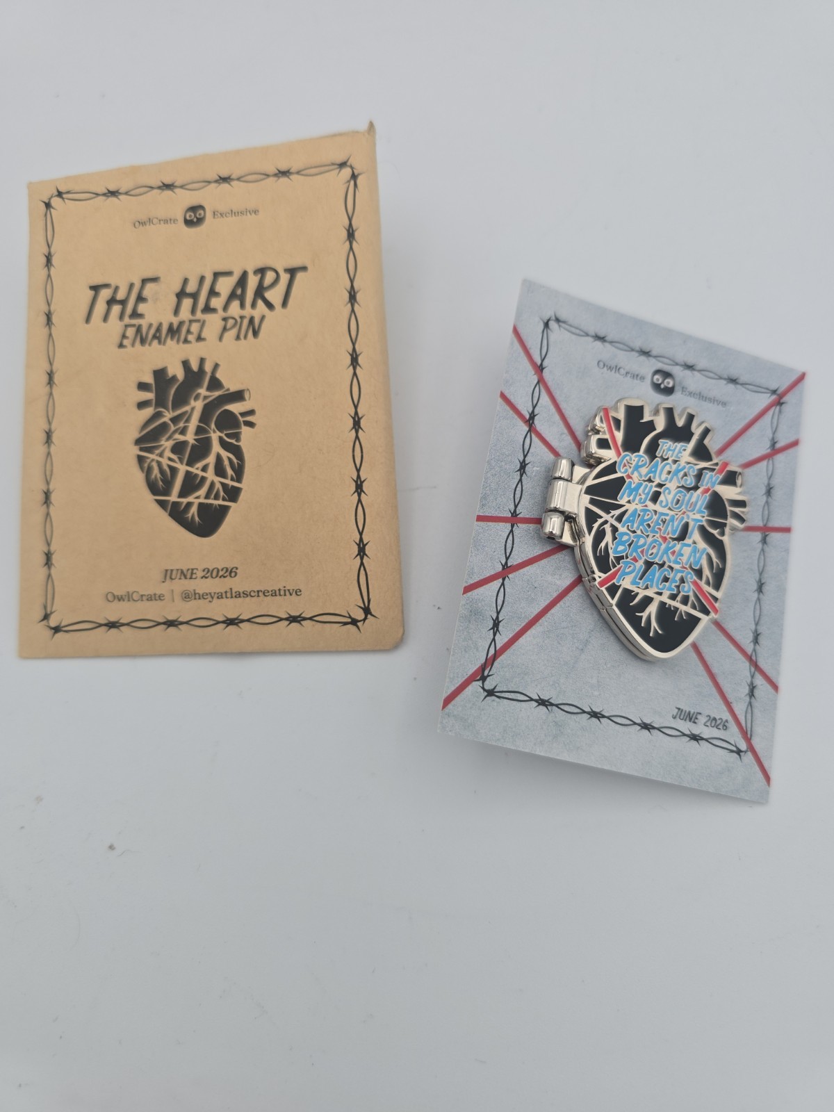 Owlcrate June 2026,The Heart, Enamel Pin inspired by Daggermouth by H.M. Wolfe
