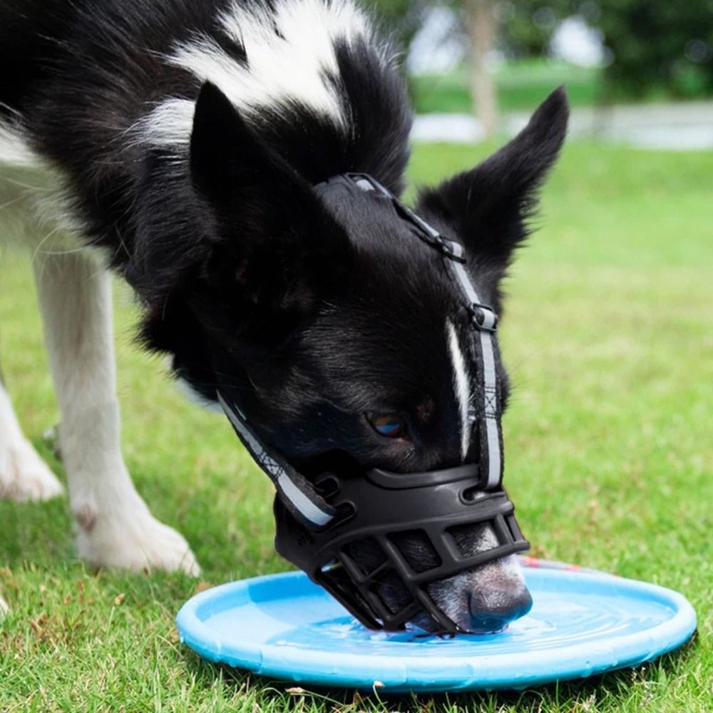 with Reflective Strip Adjustable Dog Muzzle Strong Breathable Can Drink Water Do
