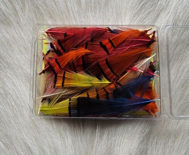 Golden Pheasant Tippets. Feather.  (100) Loose Per Box. Color; Asst. .