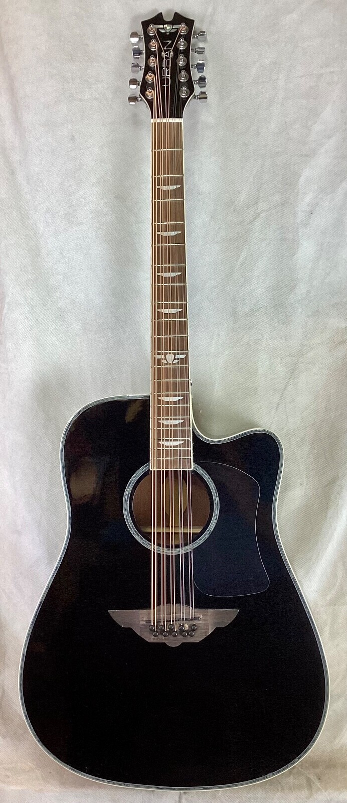 10 string mandocello, cittern prototype conversion of a dreadnaught guitar