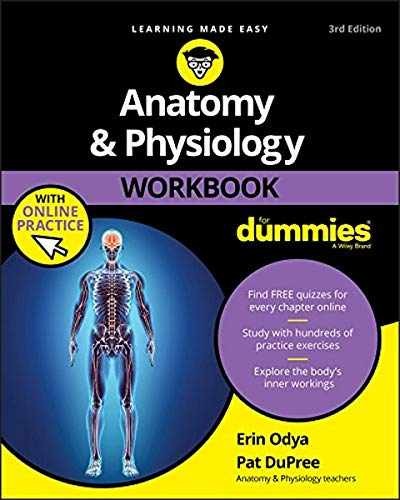 Anatomy & Physiology Workbook - Paperback, by Odya Erin; DuPree - Very Good o