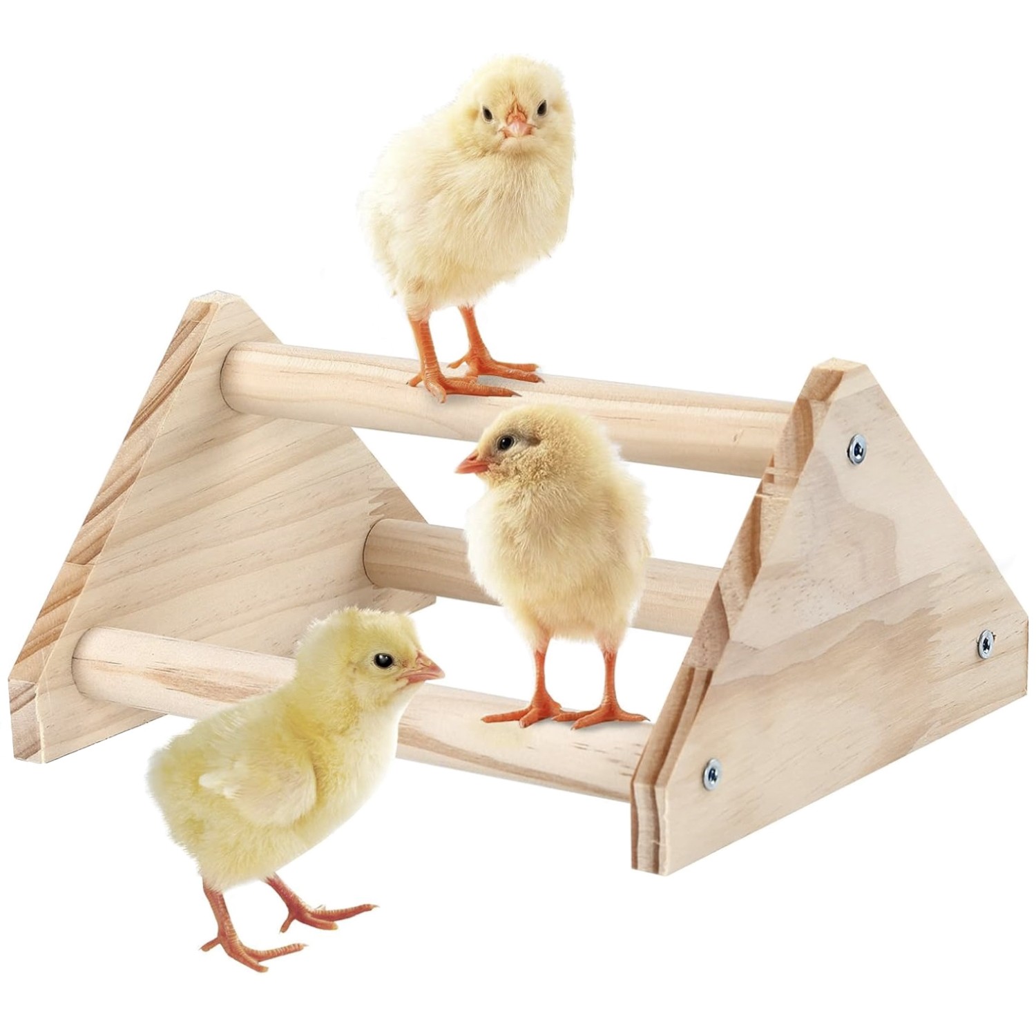 Drip Depot Chick Training Perch