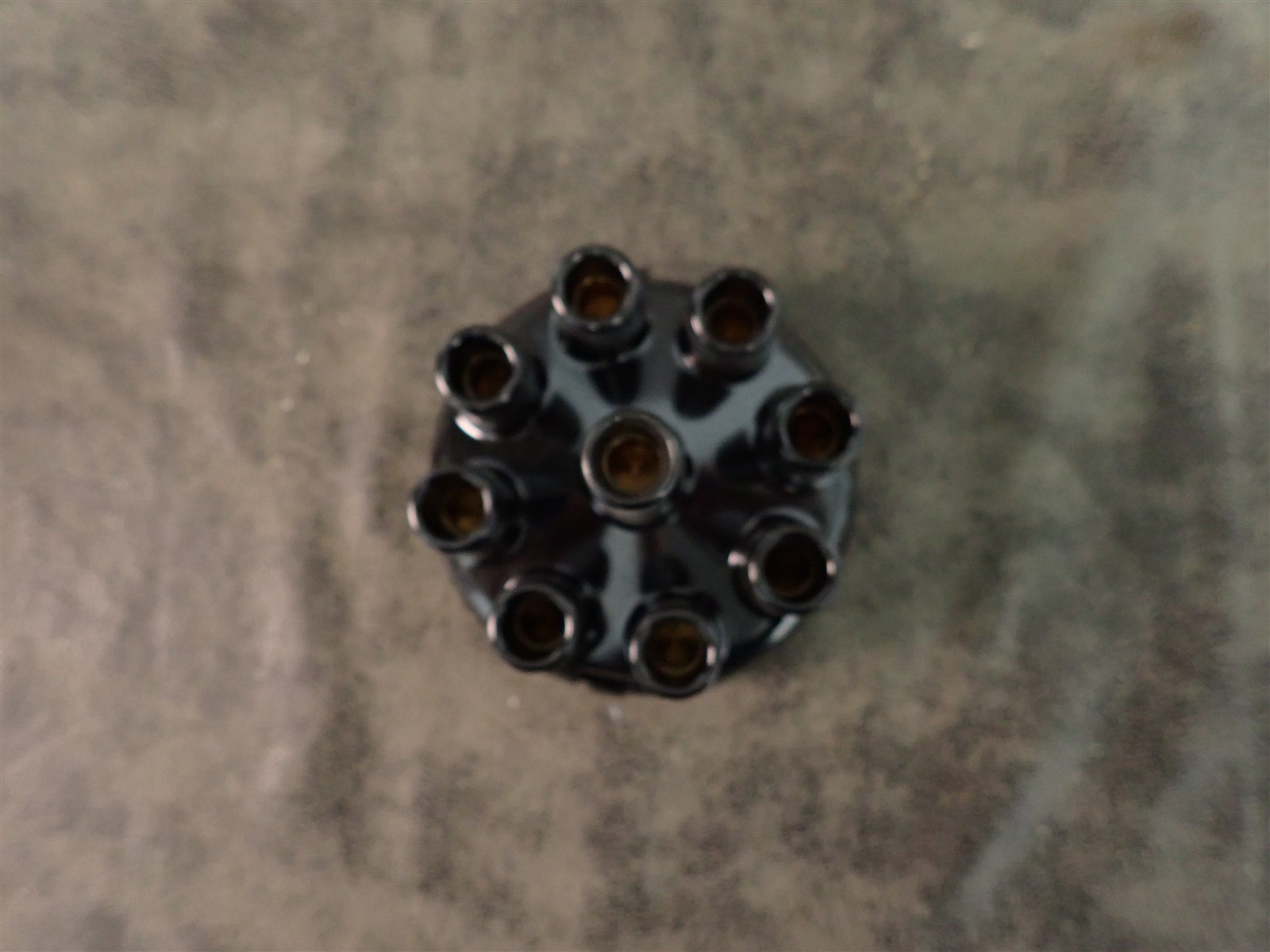 NEW WVE 5D1329 Distributor Cap (G208)