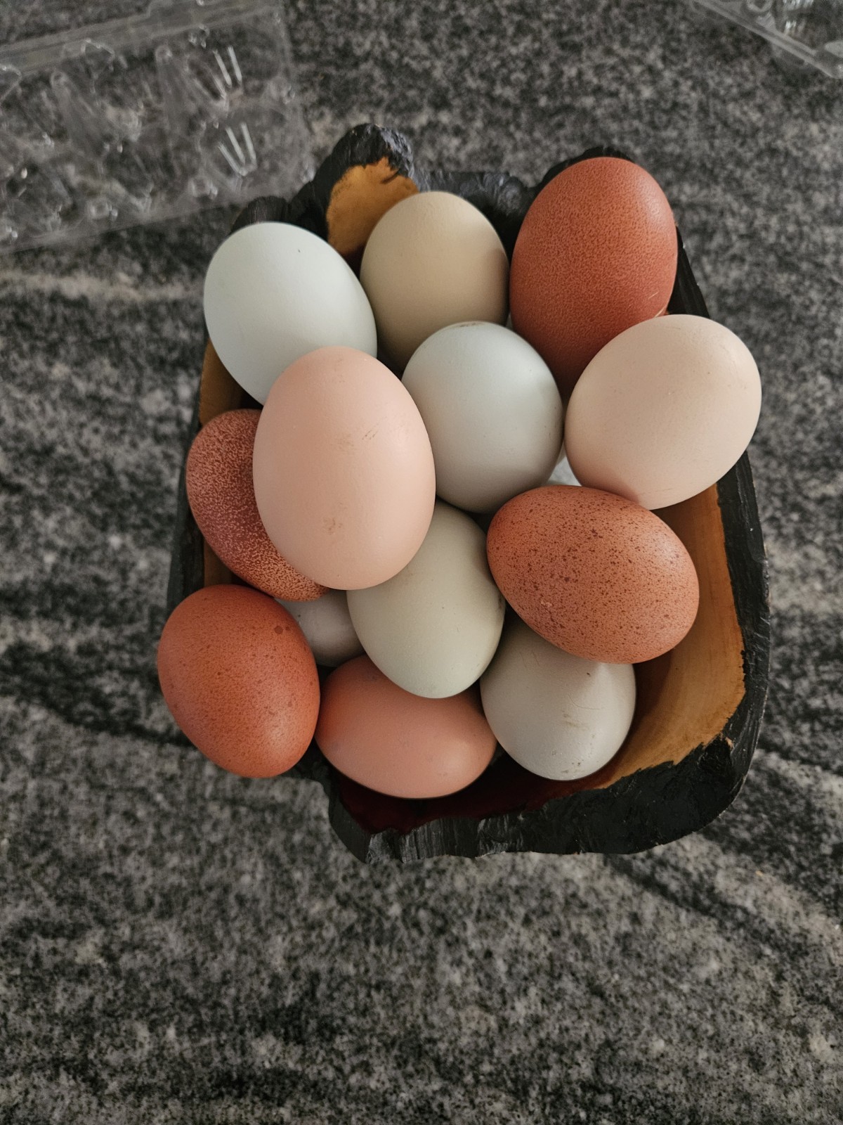 18++Barnyard Mix Fresh Hatching Eggs From Free Range Chickens