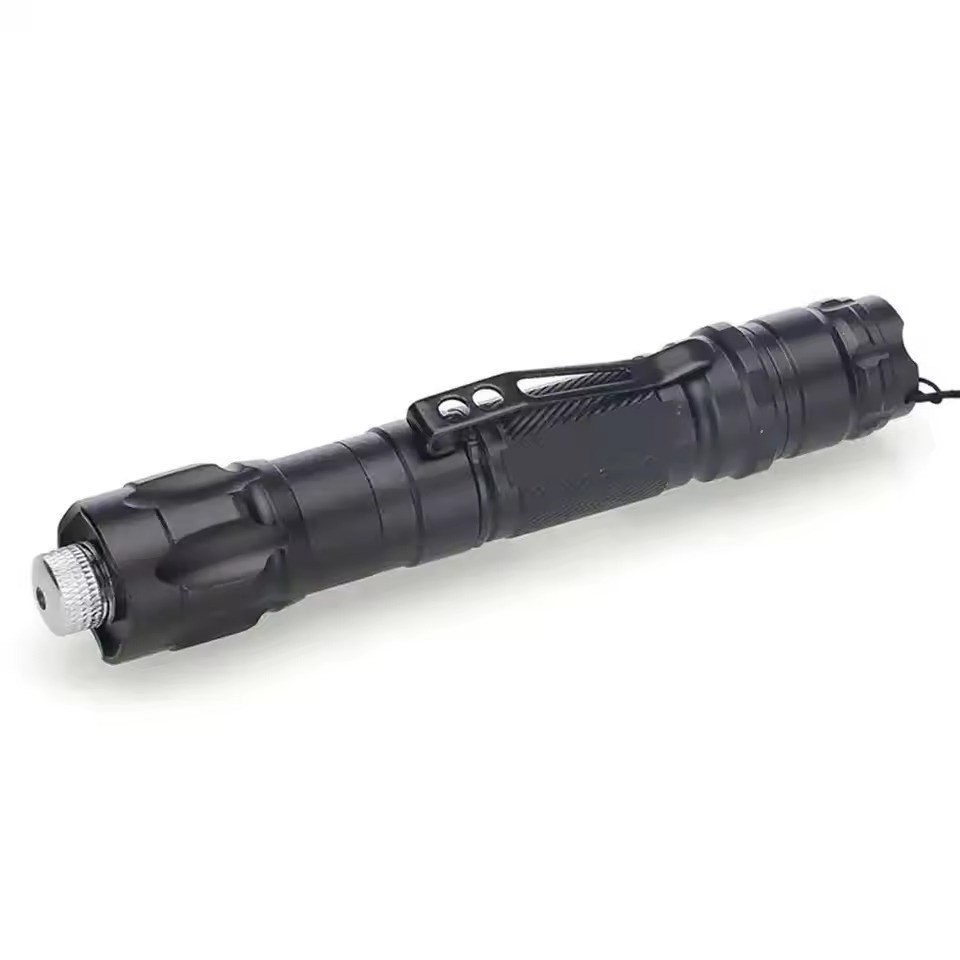 Presentation Laser Pointer Pen Pet Automatic Toys Adjustable Laser Focus Pen
