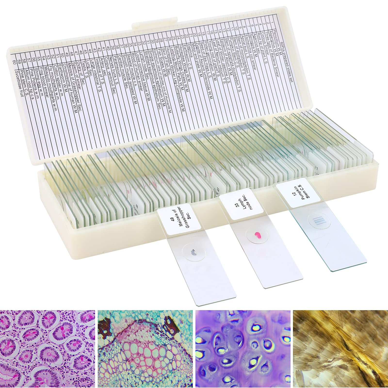60 Microscope Slides with Specimens for , Prepared Microscope Slides for Micr...