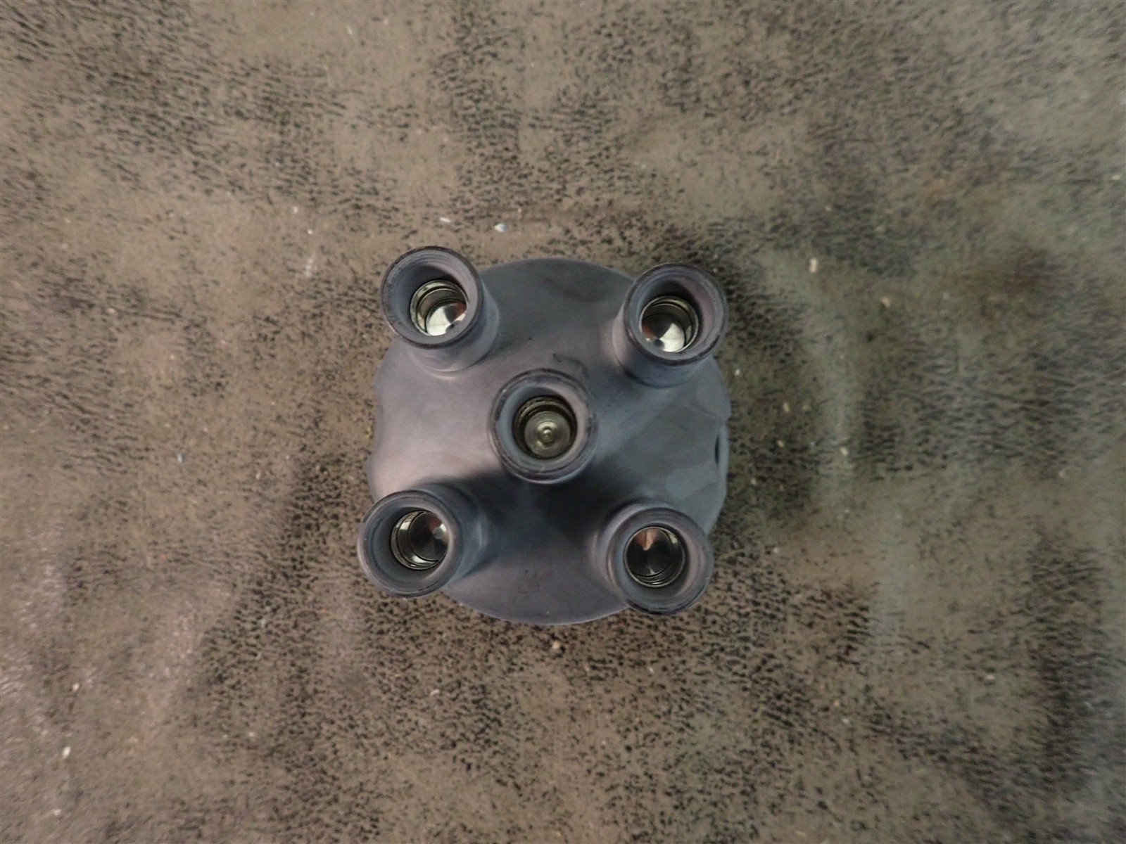 NEW WVE 5D1257 Distributor Cap (G217)