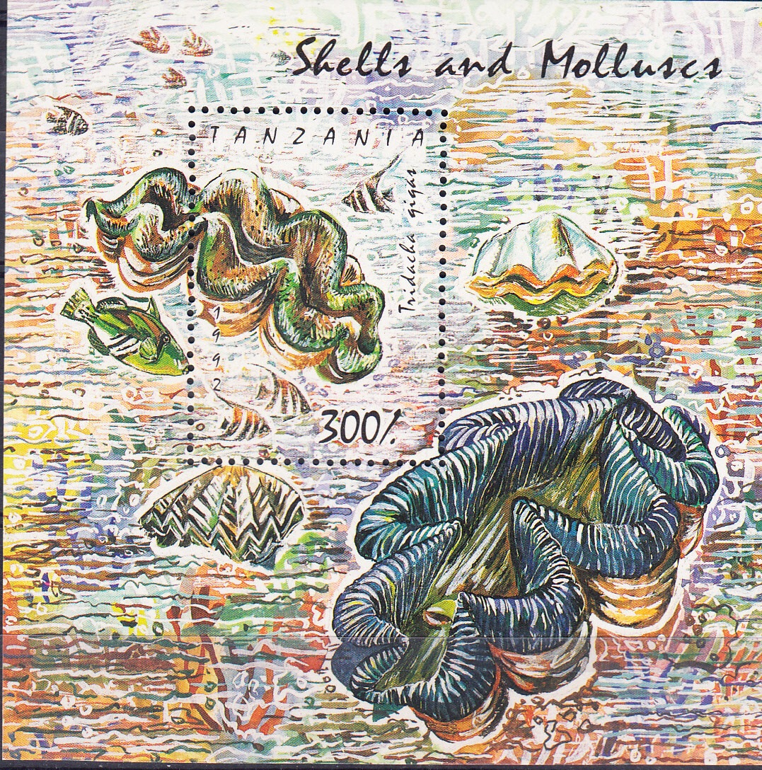 W TANZANIA 947 SEA LIFE SHELLS MOLLUSES