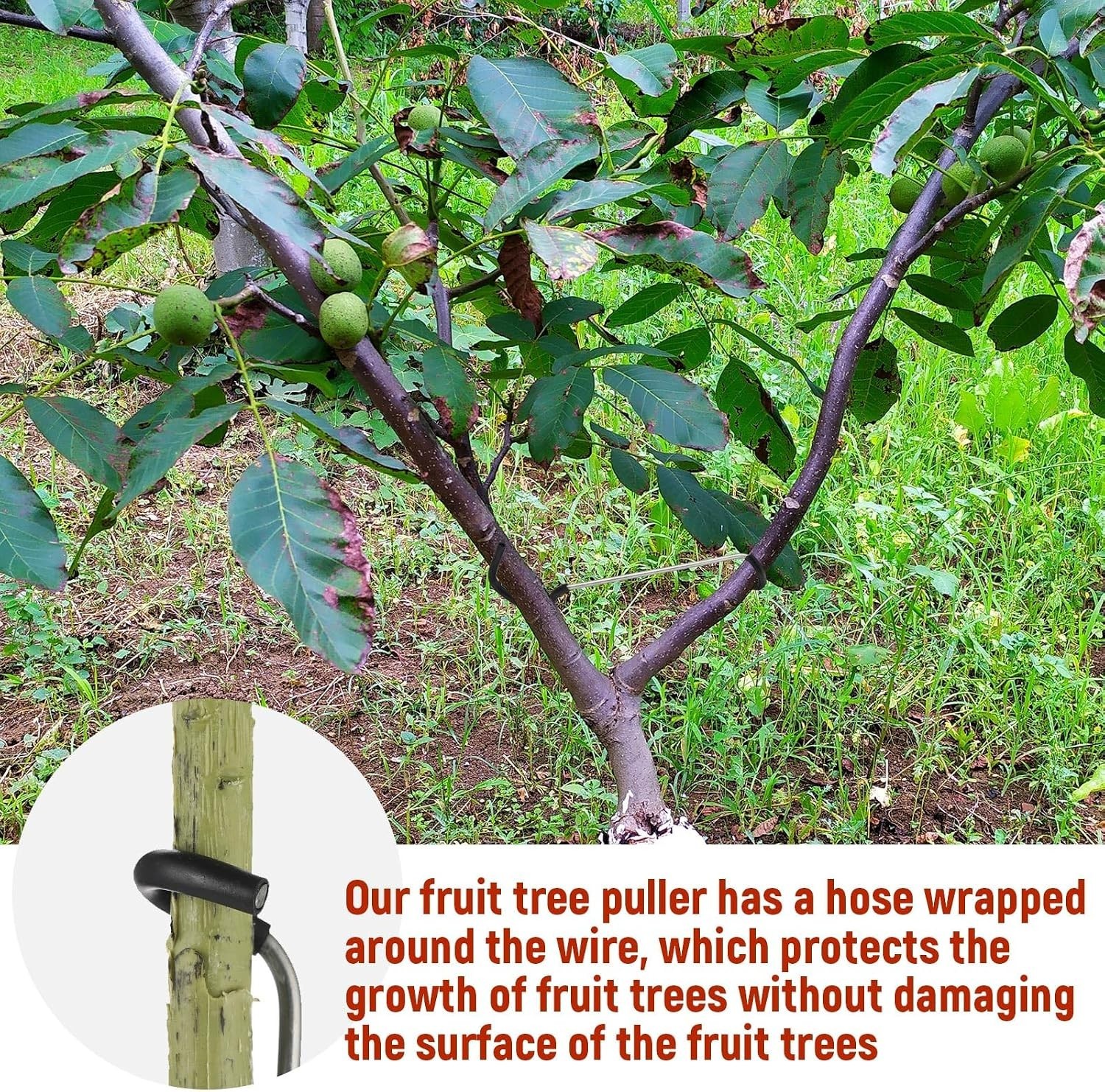 Reusable 7-Inch Branch Spreader for Fruit Trees - Easy Installation & Protection