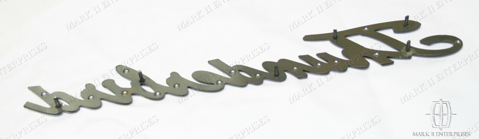 1965 1966 1967 Ford Thunderbird Rear Quarter Panel Script Emblem Nameplate