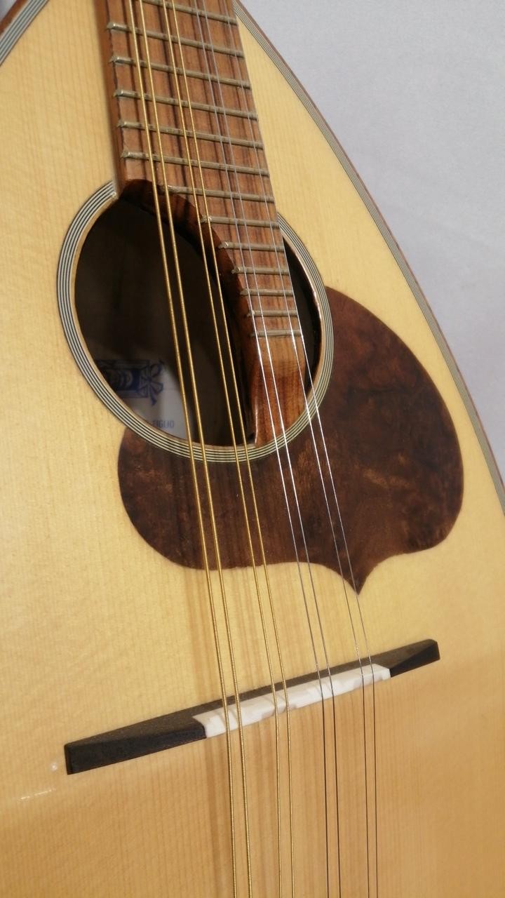 CALACE No.24 Mandolin