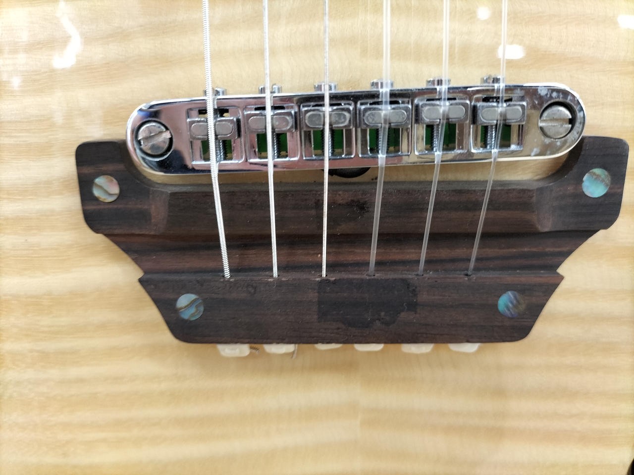 LANDSCAPE SE-01N Electric Guitar